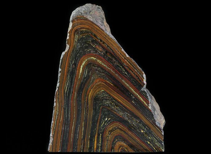 Banded Tiger Iron Stromatolite - Free-Standing Piece #64778